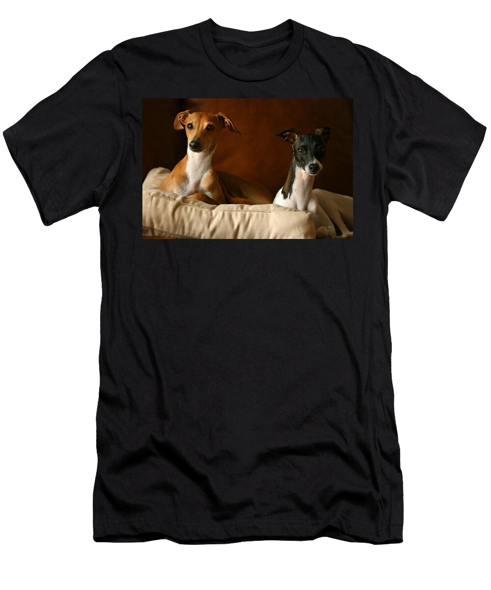 Editorial T-Shirt featuring the photograph Italian Greyhounds #3 by Angela Rath