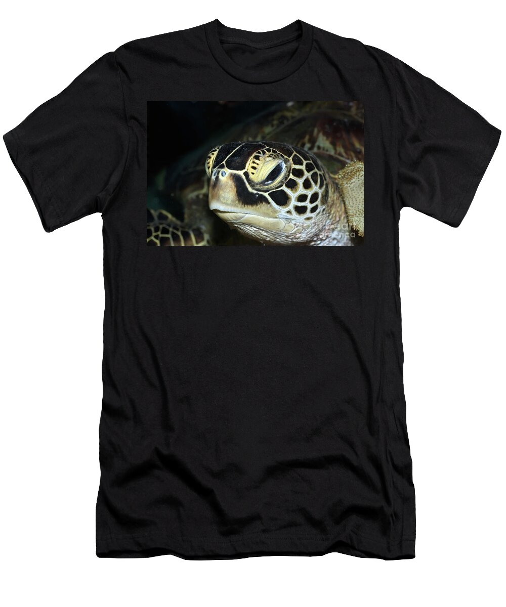 Turtle T-Shirt featuring the photograph Turtle #5 by MotHaiBaPhoto Prints