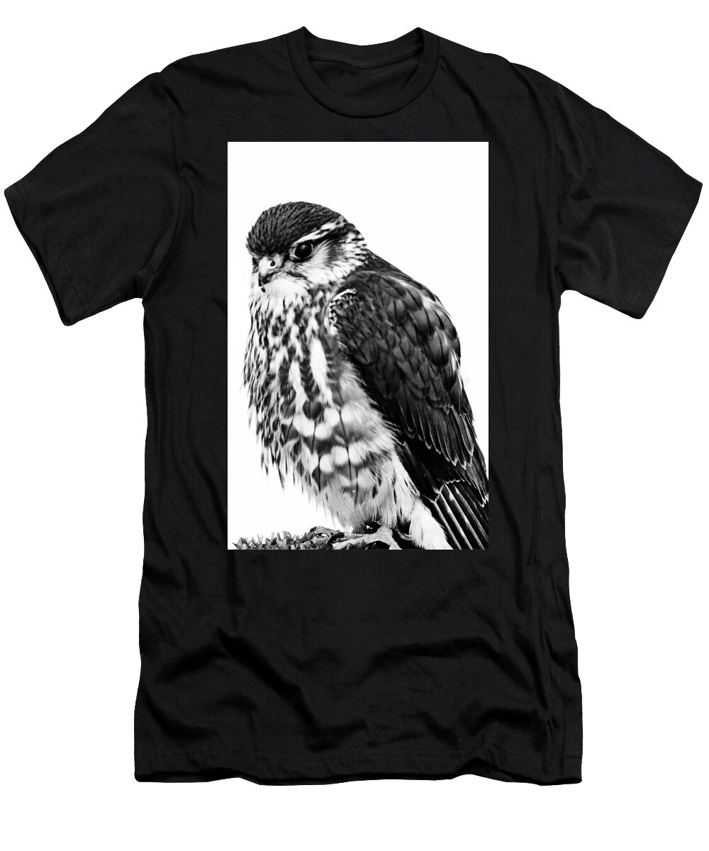 Bird Portraits T-Shirt featuring the photograph Portrait of Bird of Prey #6 by Cliff Norton