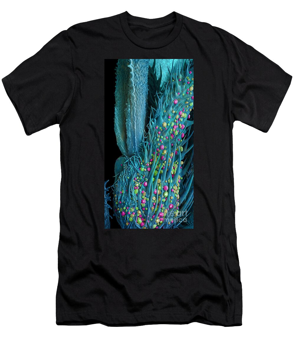 Biological T-Shirt featuring the photograph Marijuana Female Flower, SEM #8 by Ted Kinsman