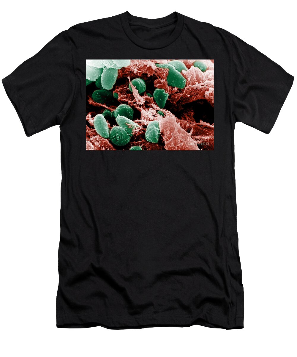 Microbiology T-Shirt featuring the photograph Yersinia Pestis Bacteria, Sem #8 by Science Source