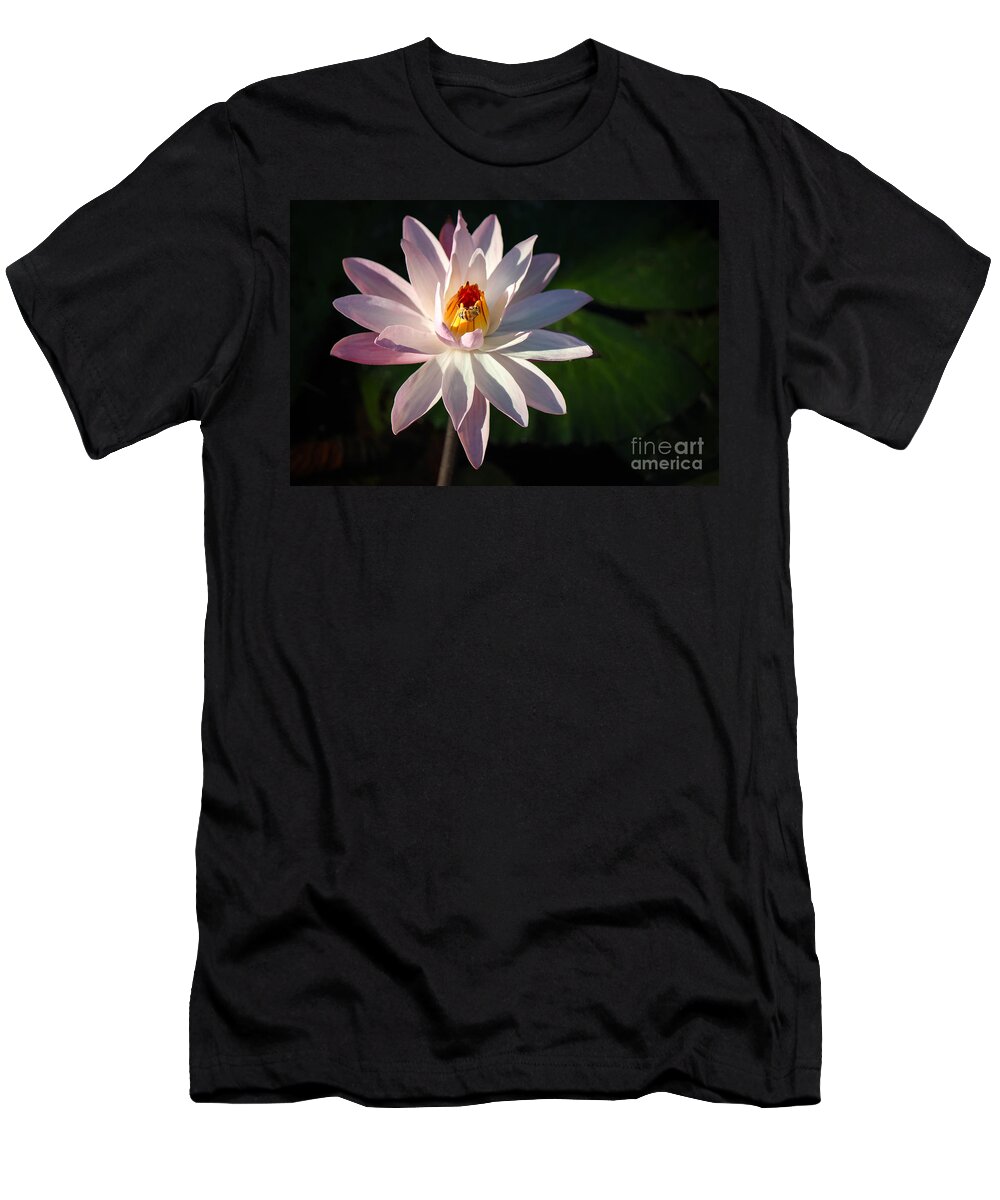 East Coast T-Shirt featuring the photograph A Bee's Moment by Liesl Walsh