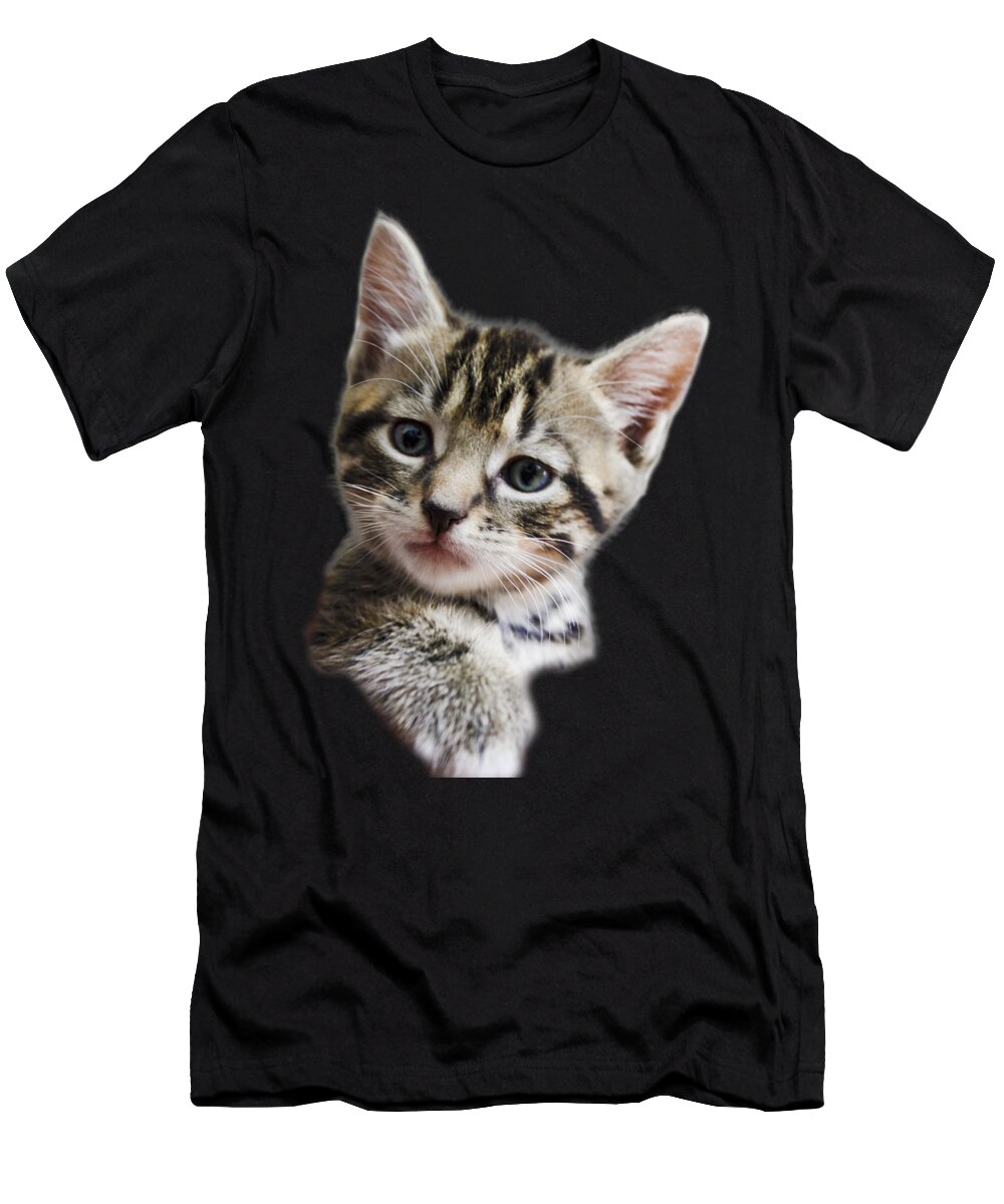 Cat T-Shirt featuring the photograph A Kittens Helping Hand on a transparent background by Terri Waters