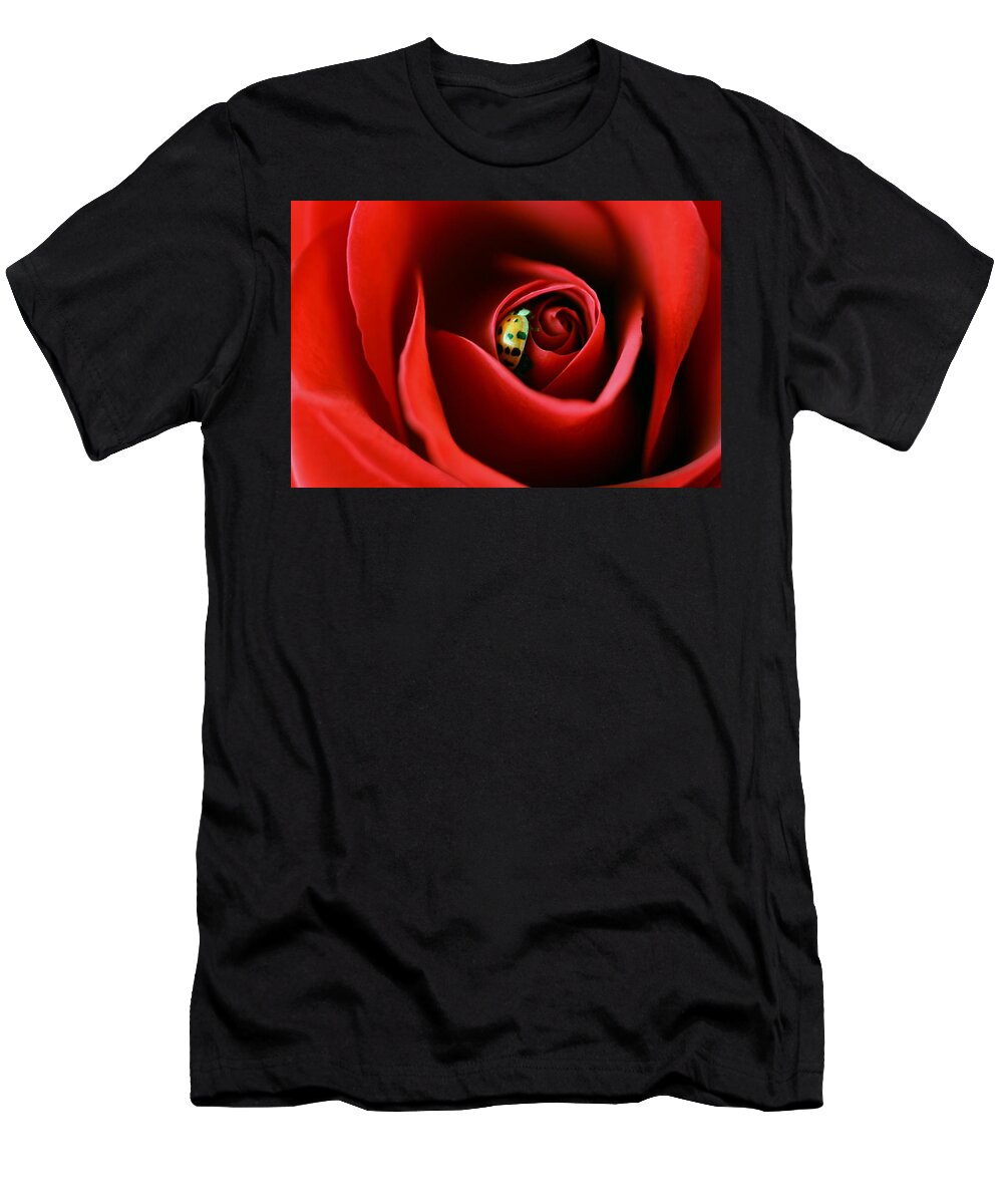 Ladybugs On Roses T-Shirt featuring the photograph A Lady's Love by The Art Of Marilyn Ridoutt-Greene