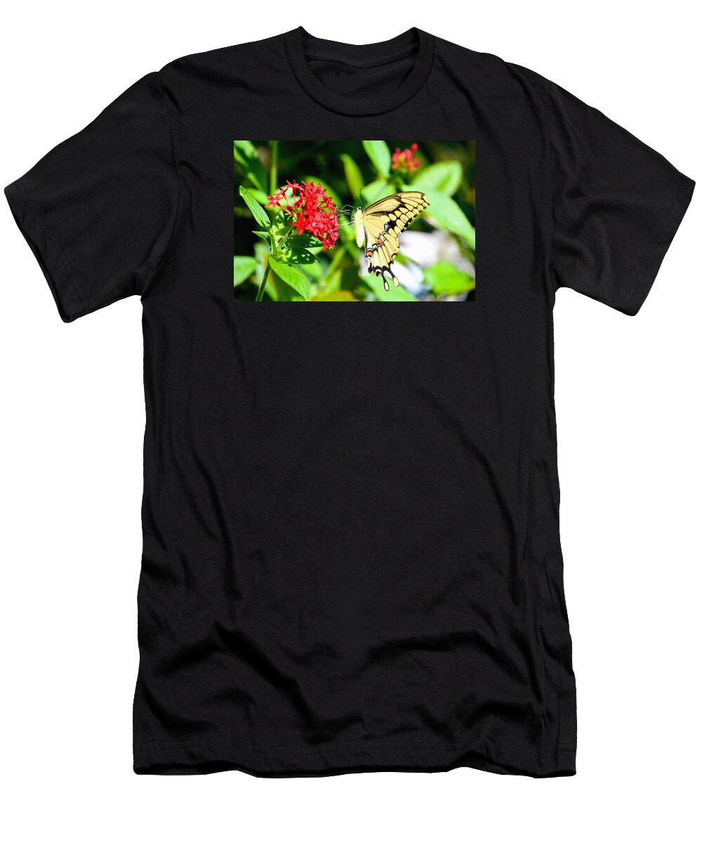 Greeting T-Shirt featuring the photograph A Lovely Profile by Lisa Kilby
