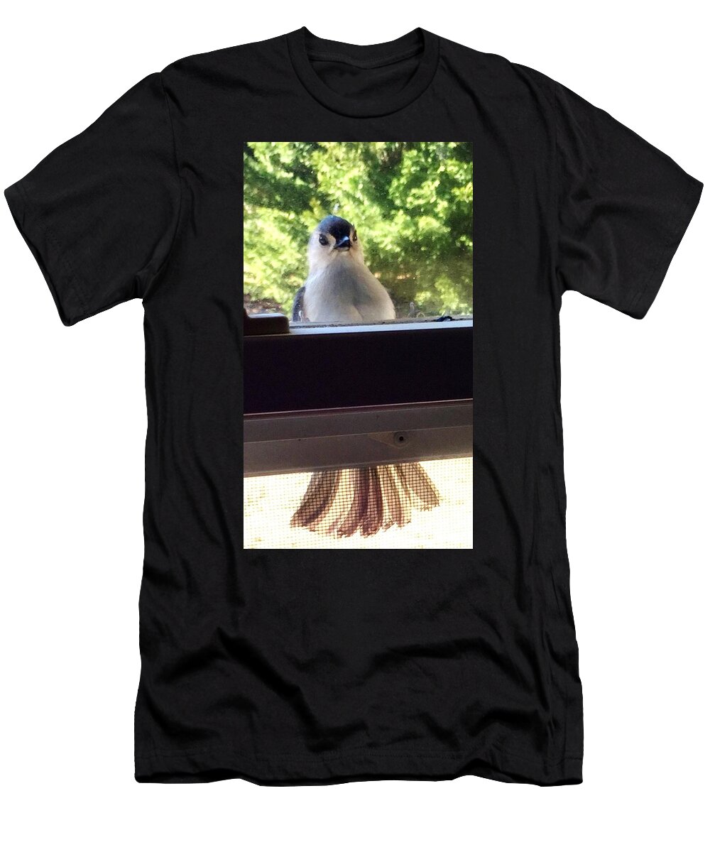 Birds T-Shirt featuring the photograph A New Visitor by Eileen Brymer