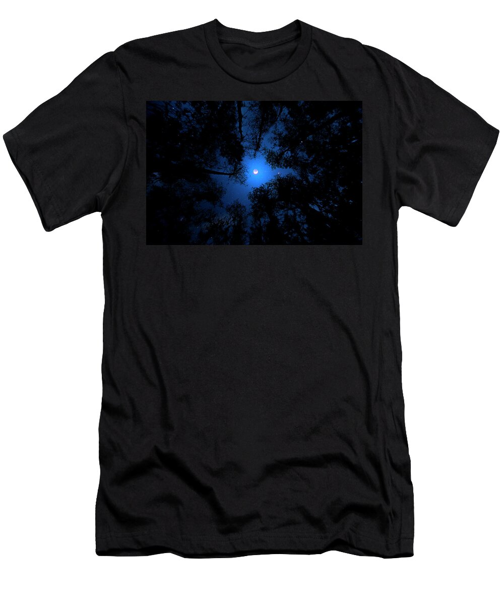 Forest T-Shirt featuring the photograph A Night in the Forest by Mark Andrew Thomas