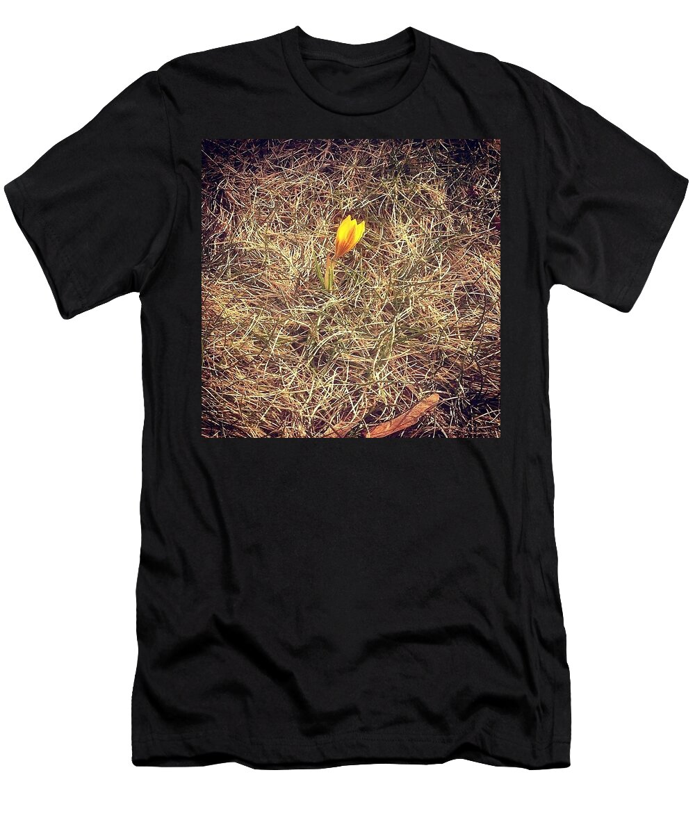 Flower T-Shirt featuring the photograph A Sign Of Life by Kate Arsenault 
