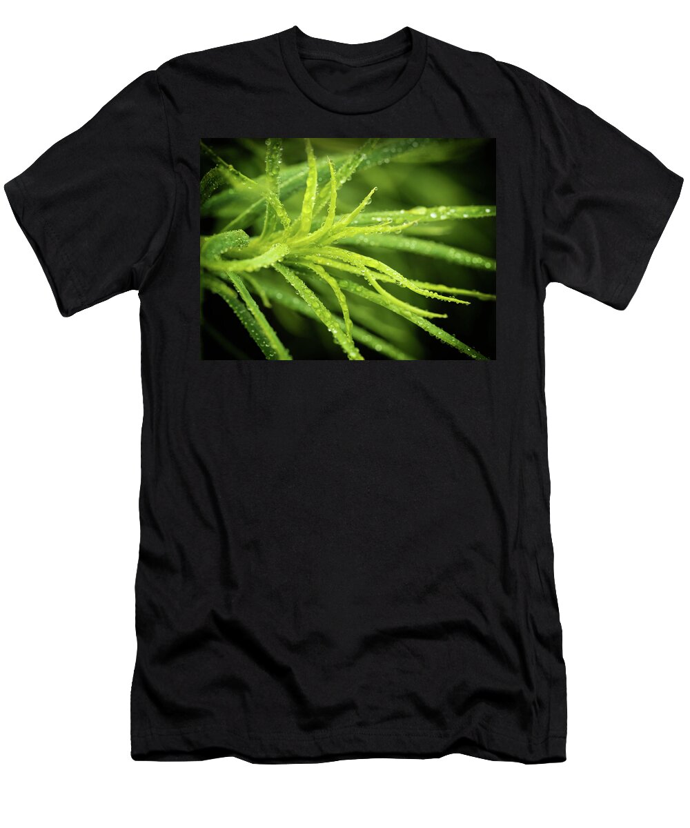 Acacia T-Shirt featuring the photograph Acacia Macro by Nick Bywater