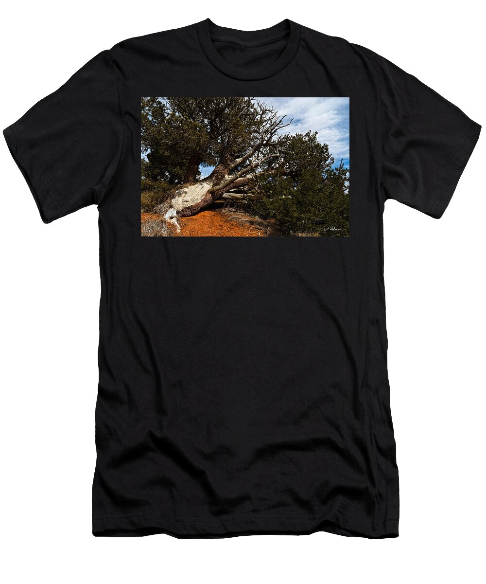 Nature T-Shirt featuring the photograph Across The Path by Christopher Holmes