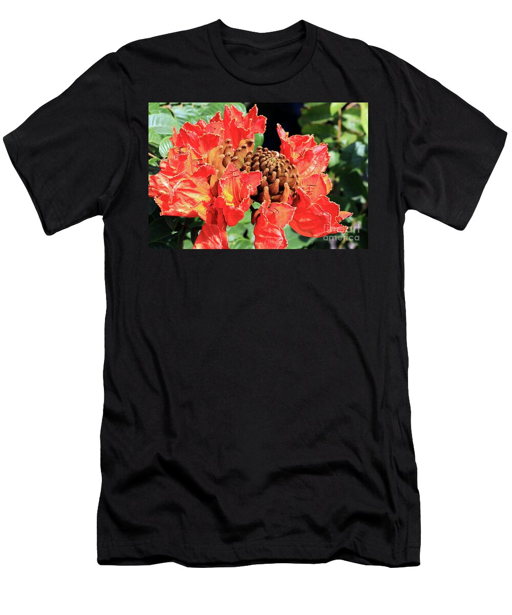 Flower T-Shirt featuring the photograph African Tulip Tree Flower by Teresa Zieba