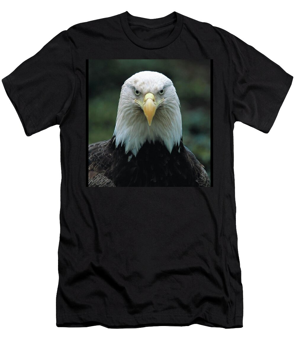 Eagle T-Shirt featuring the photograph Alaskan Eagle by Quwatha Valentine