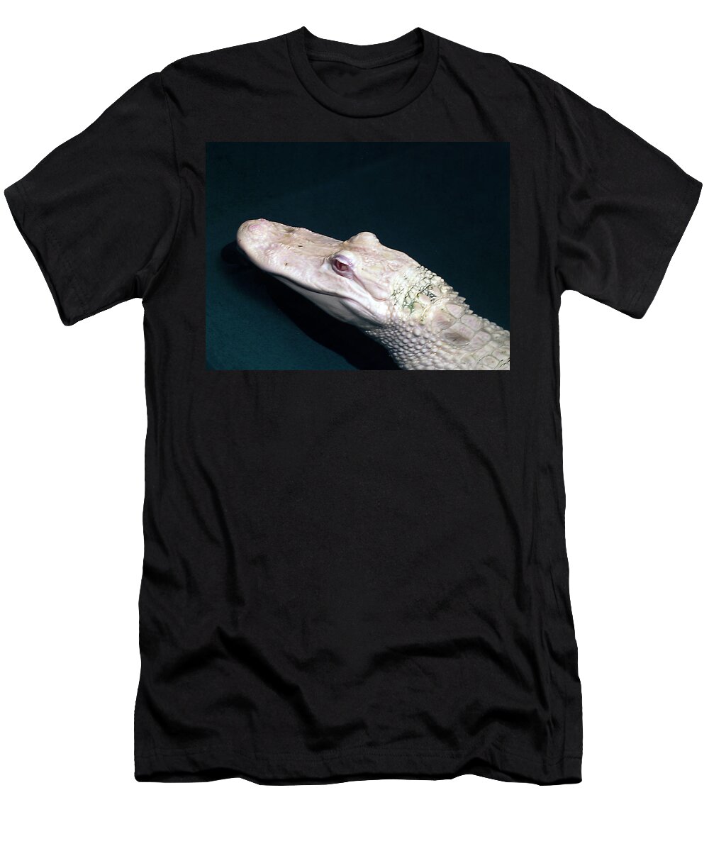 Albino T-Shirt featuring the photograph Albino Alligator by Bob Johnson