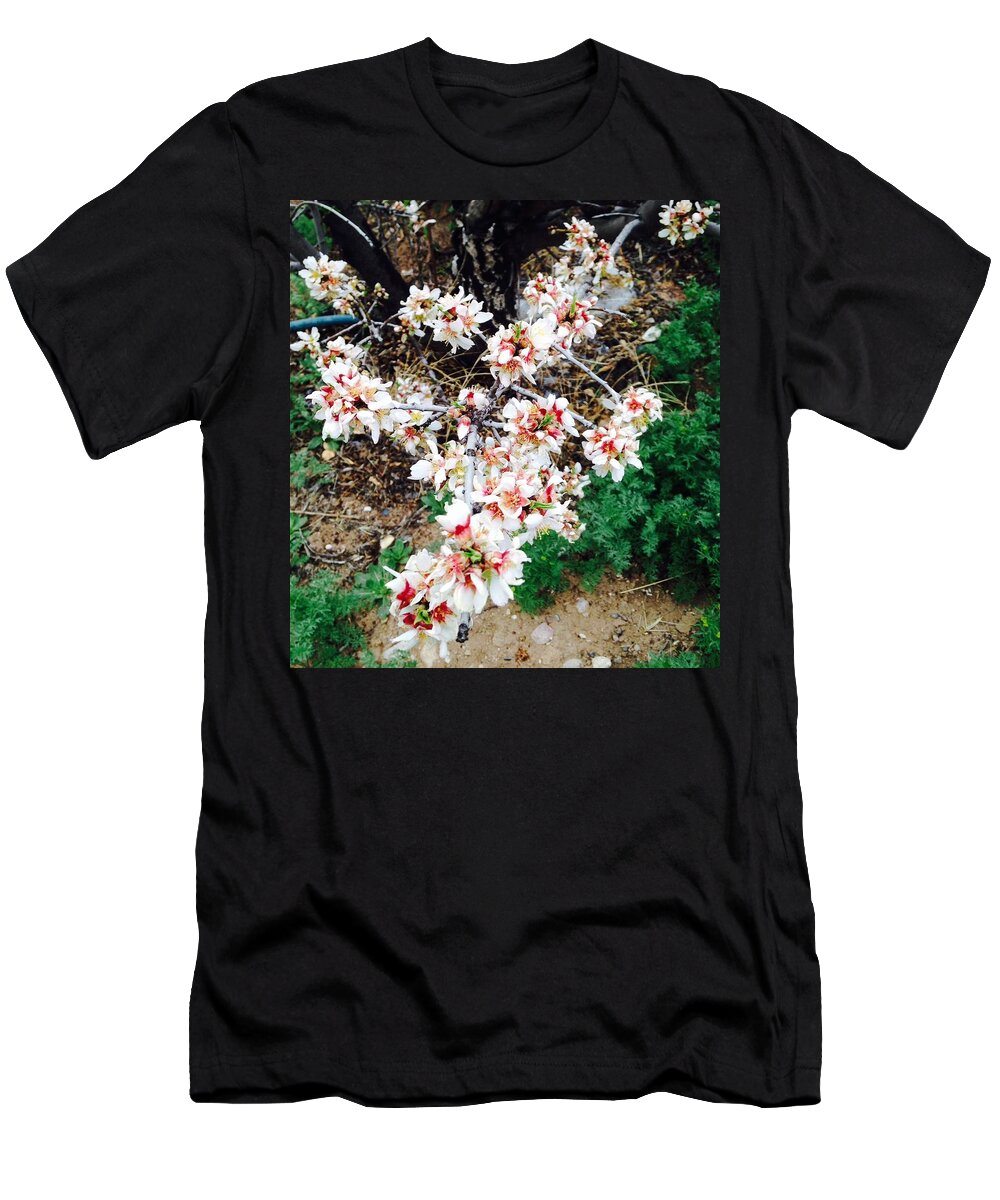 Flowers T-Shirt featuring the photograph Almond Blossoms by Erika Jean Chamberlin