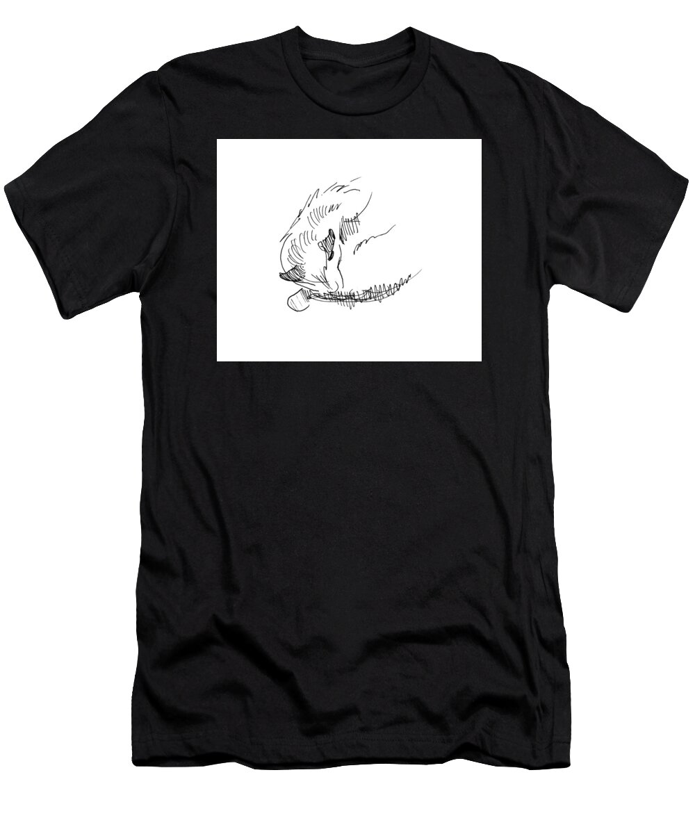 Cat T-Shirt featuring the drawing Am I Am by Keith A Link