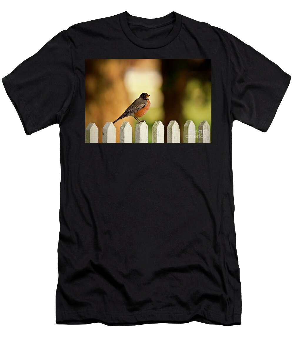 Robin T-Shirt featuring the photograph American Robin by Lara Morrison