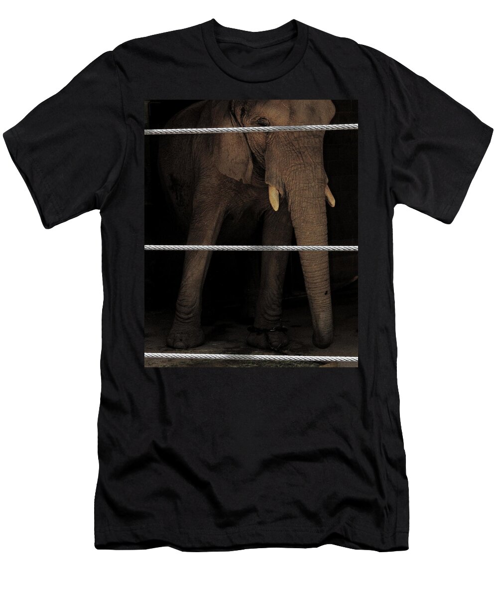 Elephants T-Shirt featuring the photograph An Apology to Elephants by Jeff Heimlich
