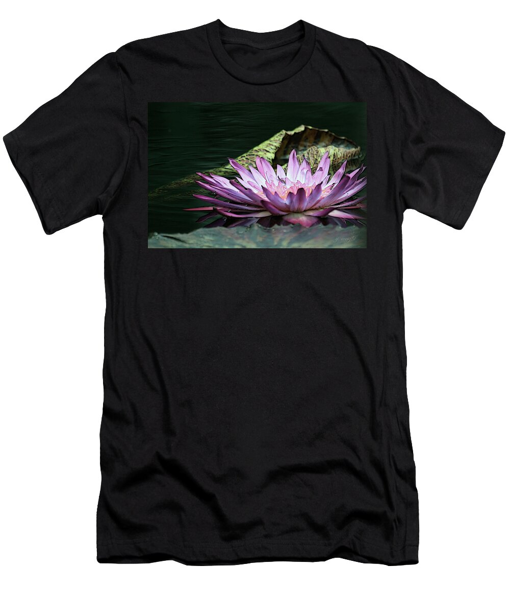 Waterlily T-Shirt featuring the photograph An Evening Glow by Yvonne Wright