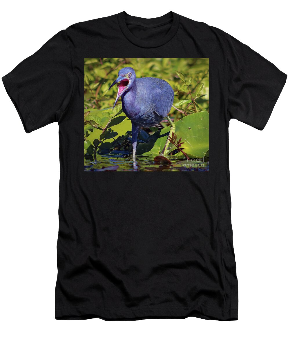 Herons T-Shirt featuring the photograph Angry Little Blue Heron - Egretta Caerulea by DB Hayes