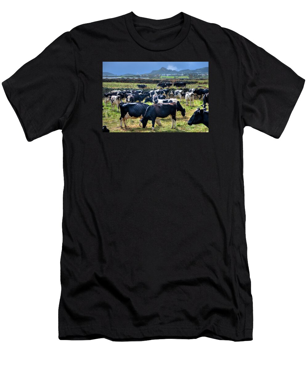 Agriculture T-Shirt featuring the photograph Animals Livestock-02 by Joseph Amaral