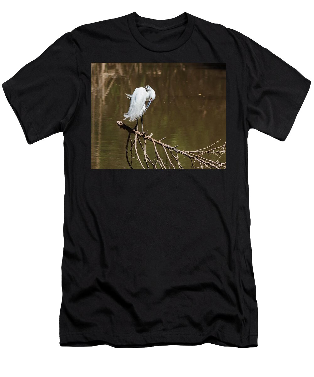 2015 May T-Shirt featuring the photograph All Preened And Pretty by Bill Kesler