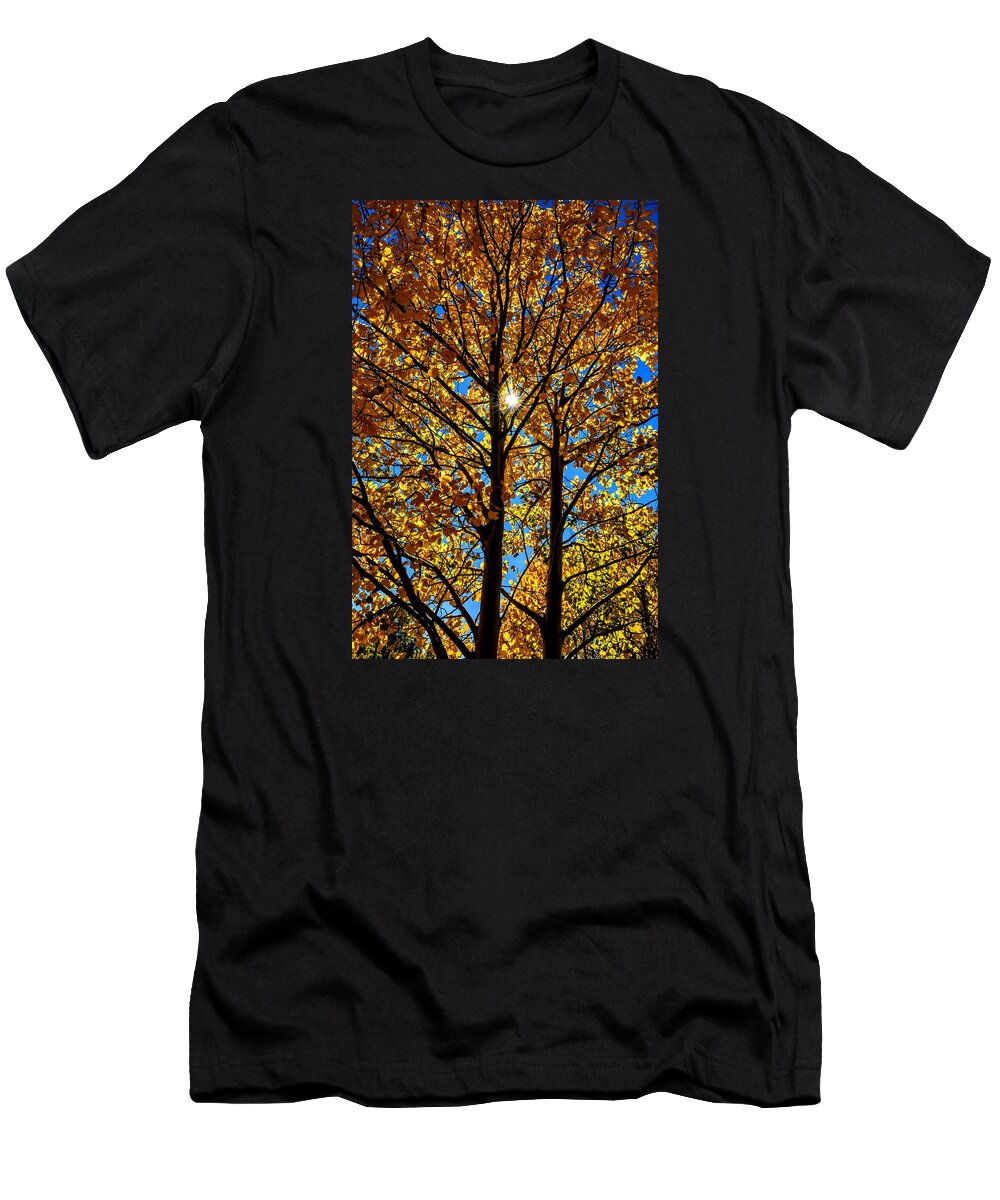 Aspen Tree T-Shirt featuring the photograph Aspen Beam by Michael Brungardt