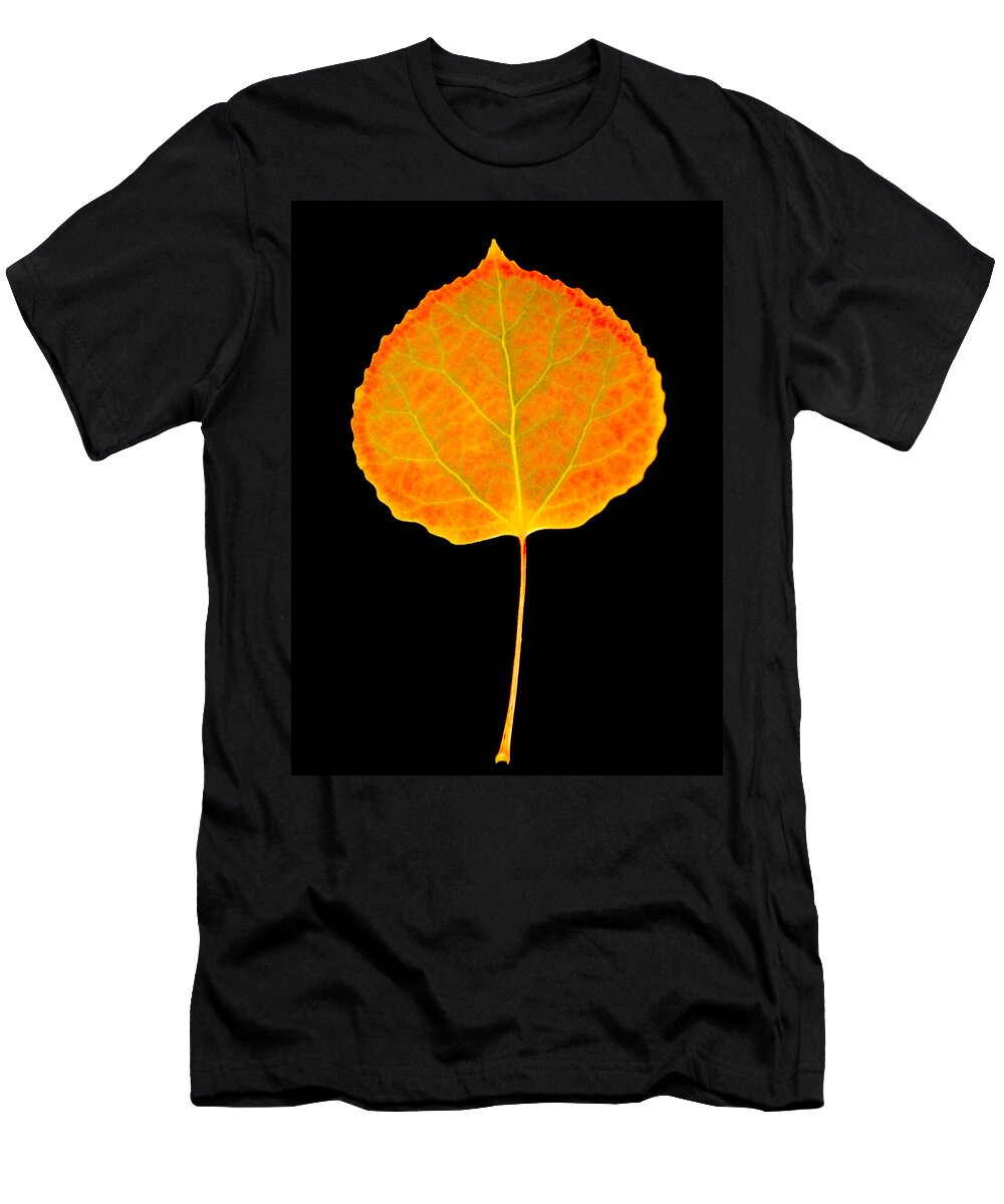 Leaf T-Shirt featuring the photograph Aspen Leaf Glory by Marilyn Hunt