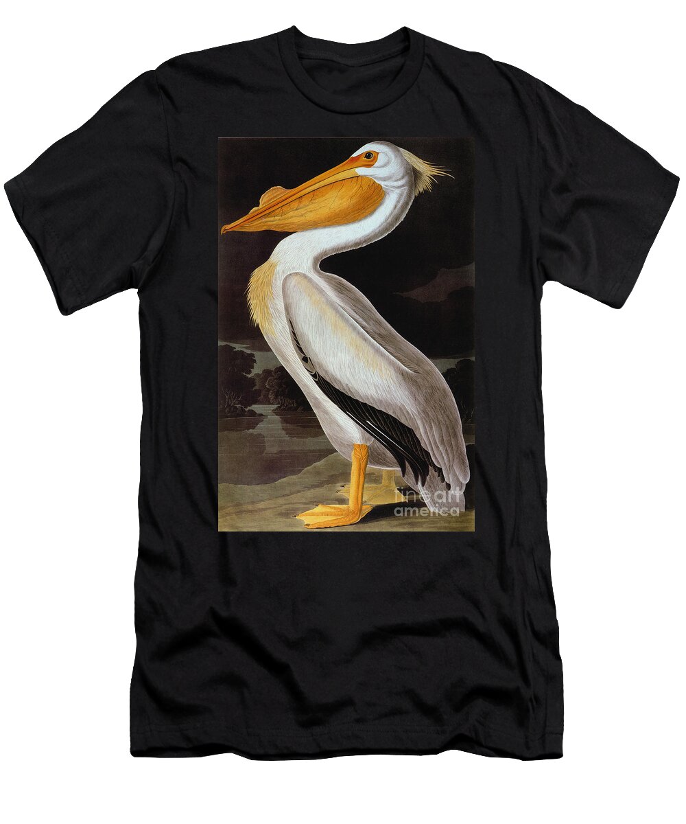 19th Century T-Shirt featuring the photograph Audubon: Pelican by Granger