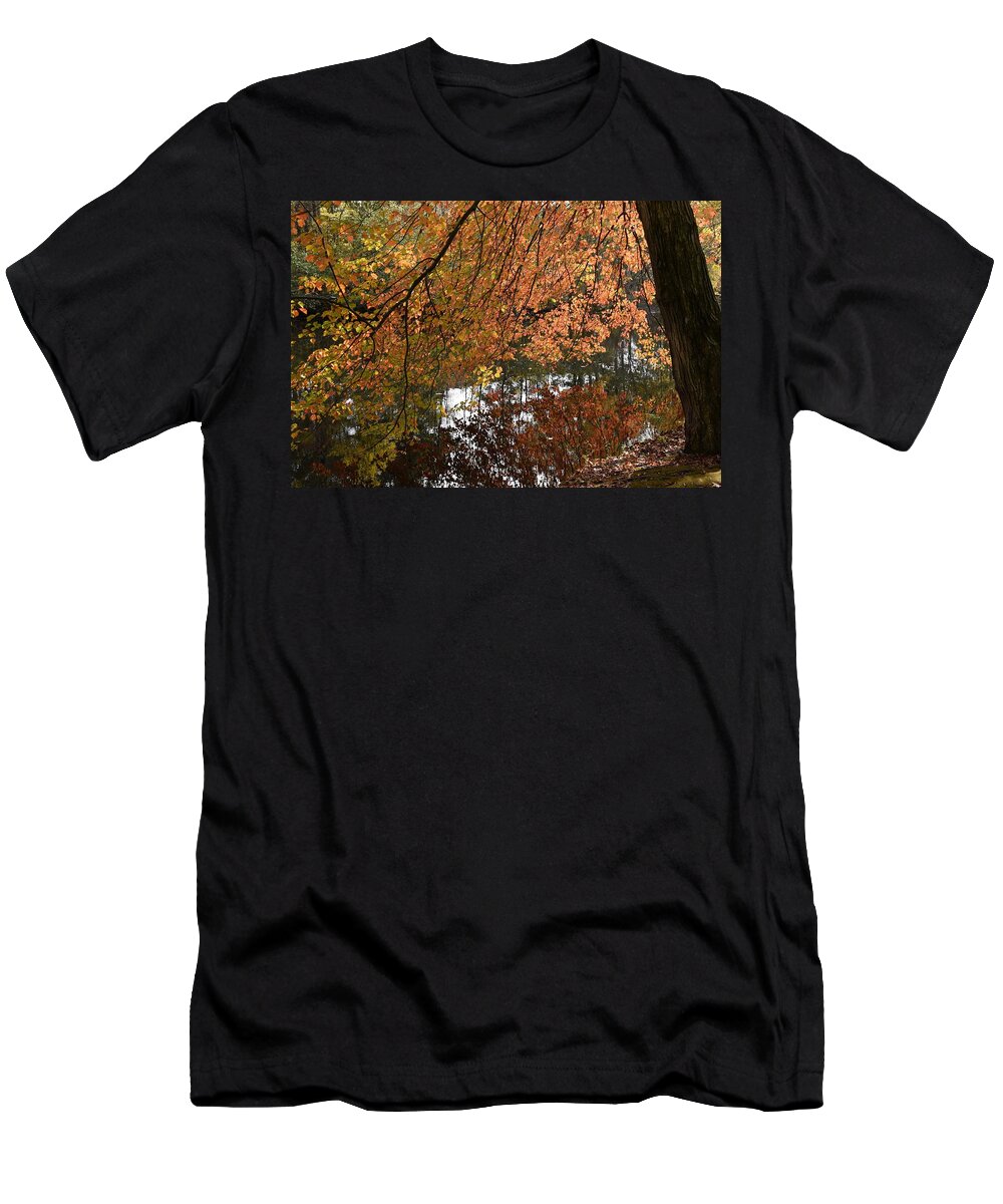 Autumn Foliage Art T-Shirt featuring the photograph Autumn 92 by Joyce StJames