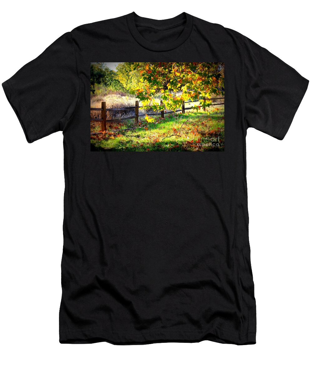 Fences T-Shirt featuring the photograph Autumn Fence by Carol Groenen
