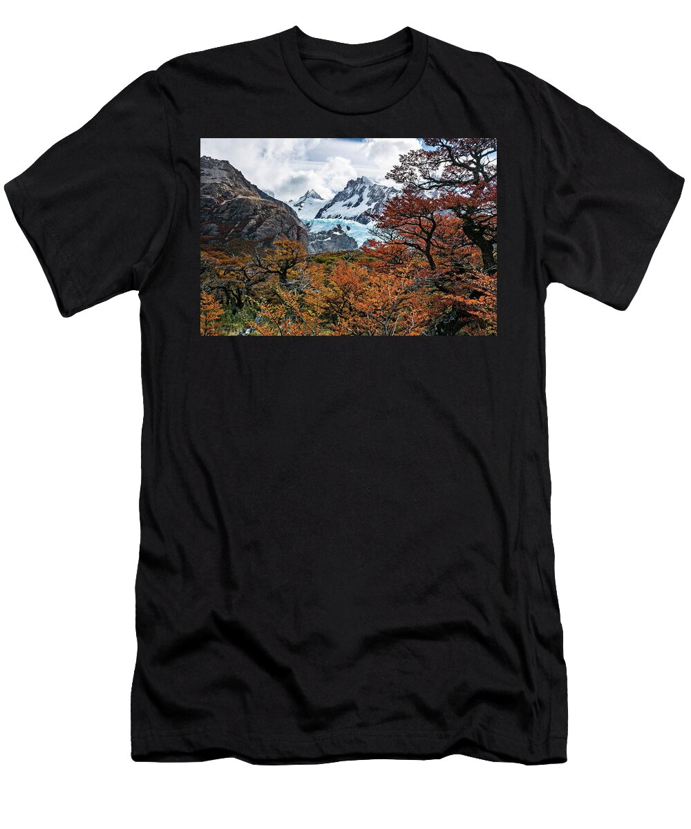 Landscape T-Shirt featuring the photograph Autumn in Patagonia by Ryan Weddle