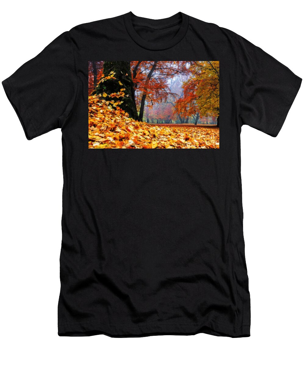 Autumn T-Shirt featuring the photograph Autumn In The Woodland by Hannes Cmarits