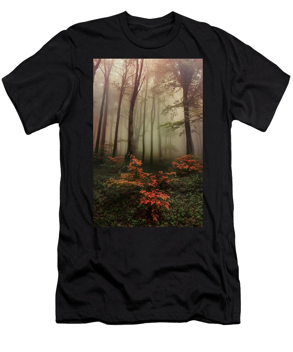 Trees T-Shirt featuring the photograph Autumn mornin in forgotten forest by Jaroslaw Blaminsky
