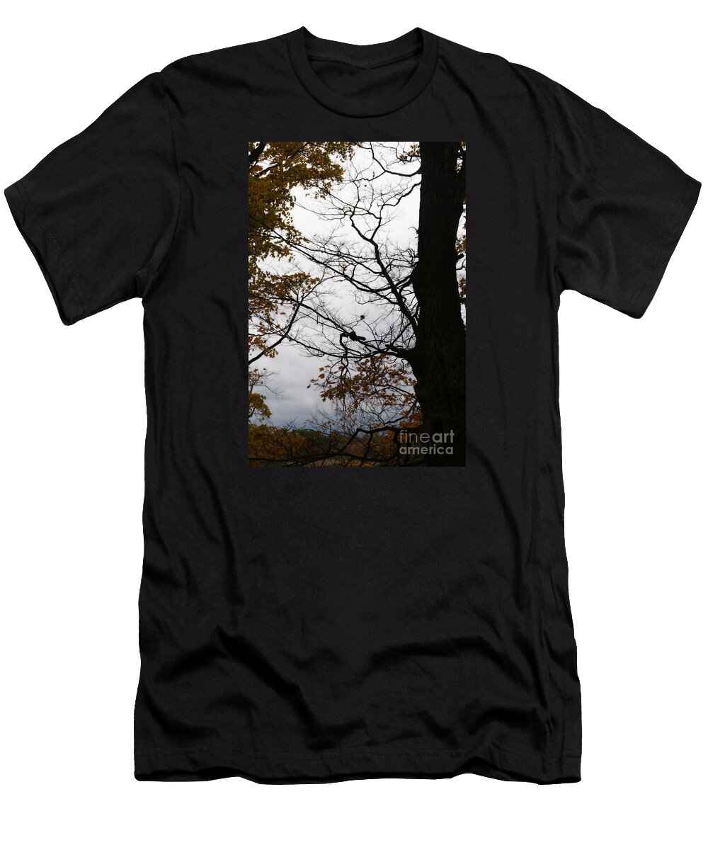 Autumn T-Shirt featuring the photograph Autumn's Silhouette by Linda Shafer