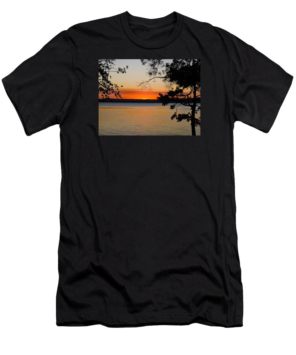 Nature T-Shirt featuring the photograph Awesome by DB Hayes
