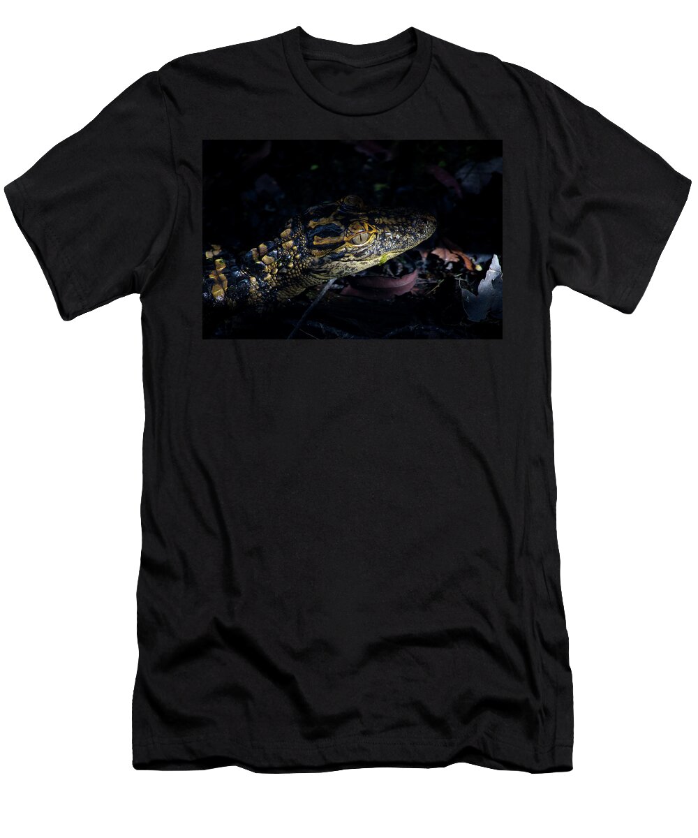 Alligator T-Shirt featuring the photograph Baby Alligator in the Swamp by Mark Andrew Thomas