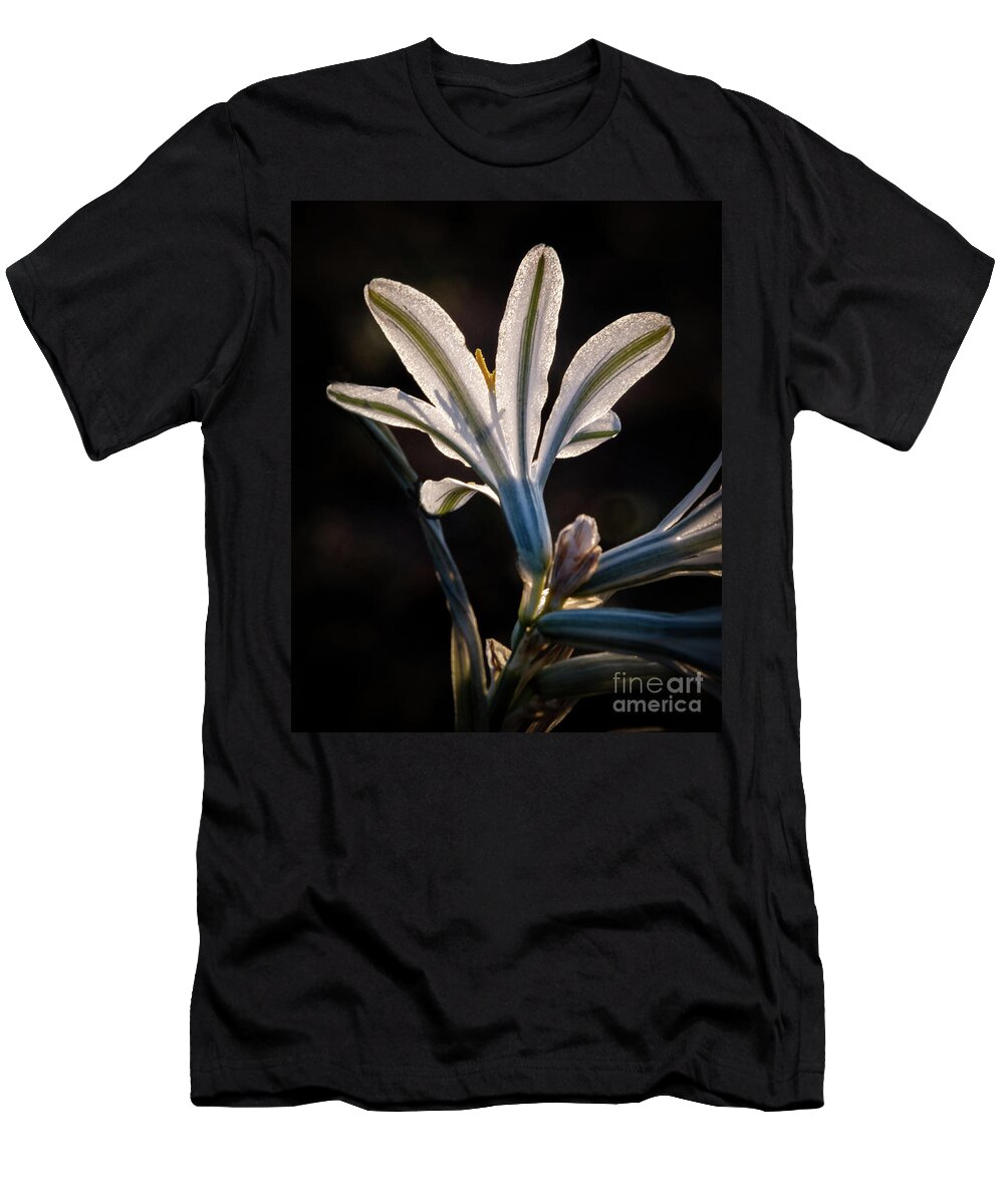 Arizona T-Shirt featuring the photograph Backlit Ajo Lily by Robert Bales