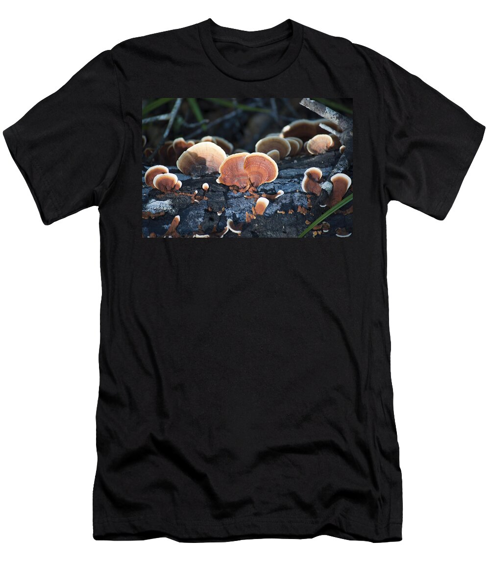 Nature T-Shirt featuring the photograph Backlit Bracket Fungi by Kenneth Albin