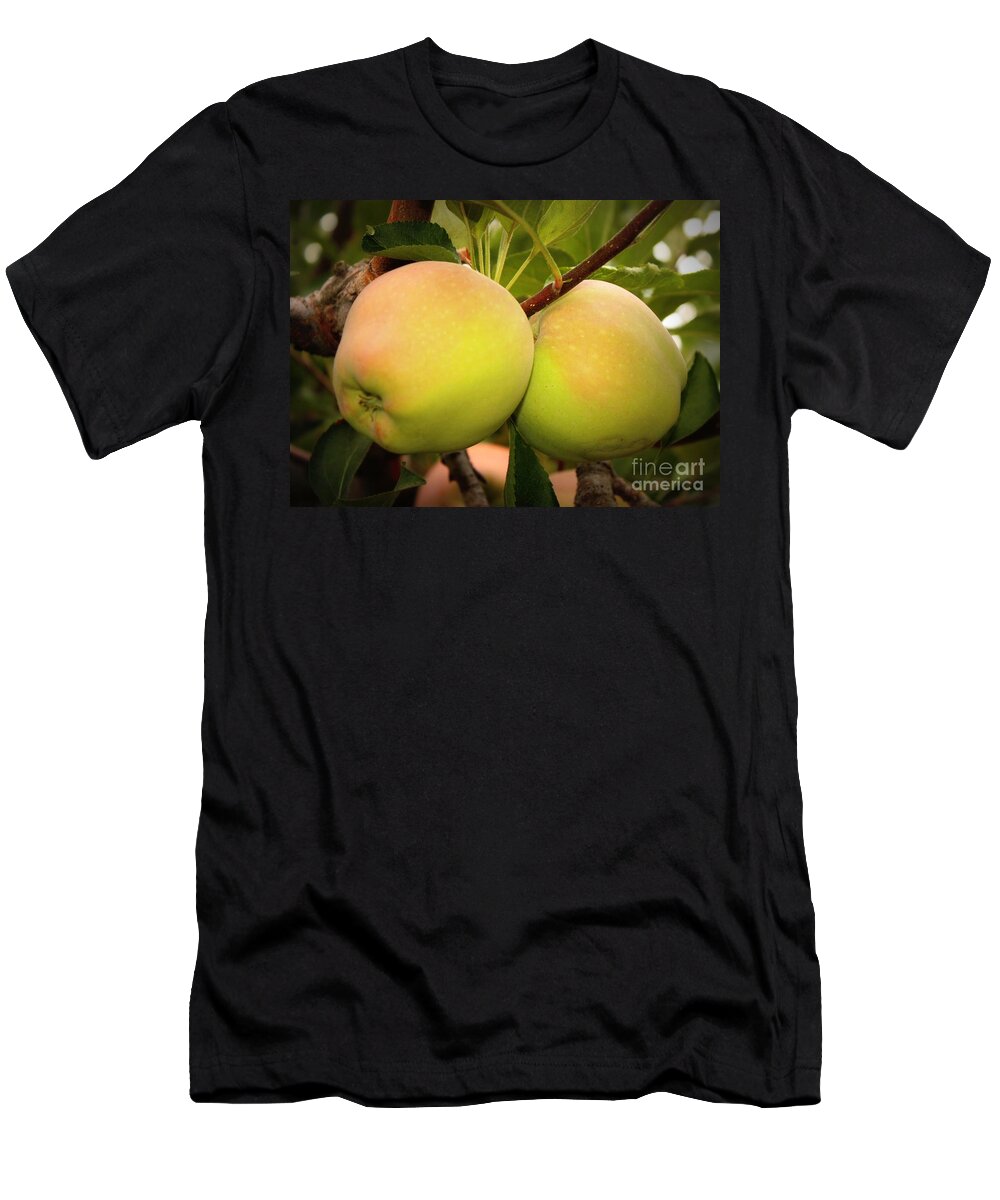 Food T-Shirt featuring the photograph Backyard Garden Series - Two Apples by Carol Groenen