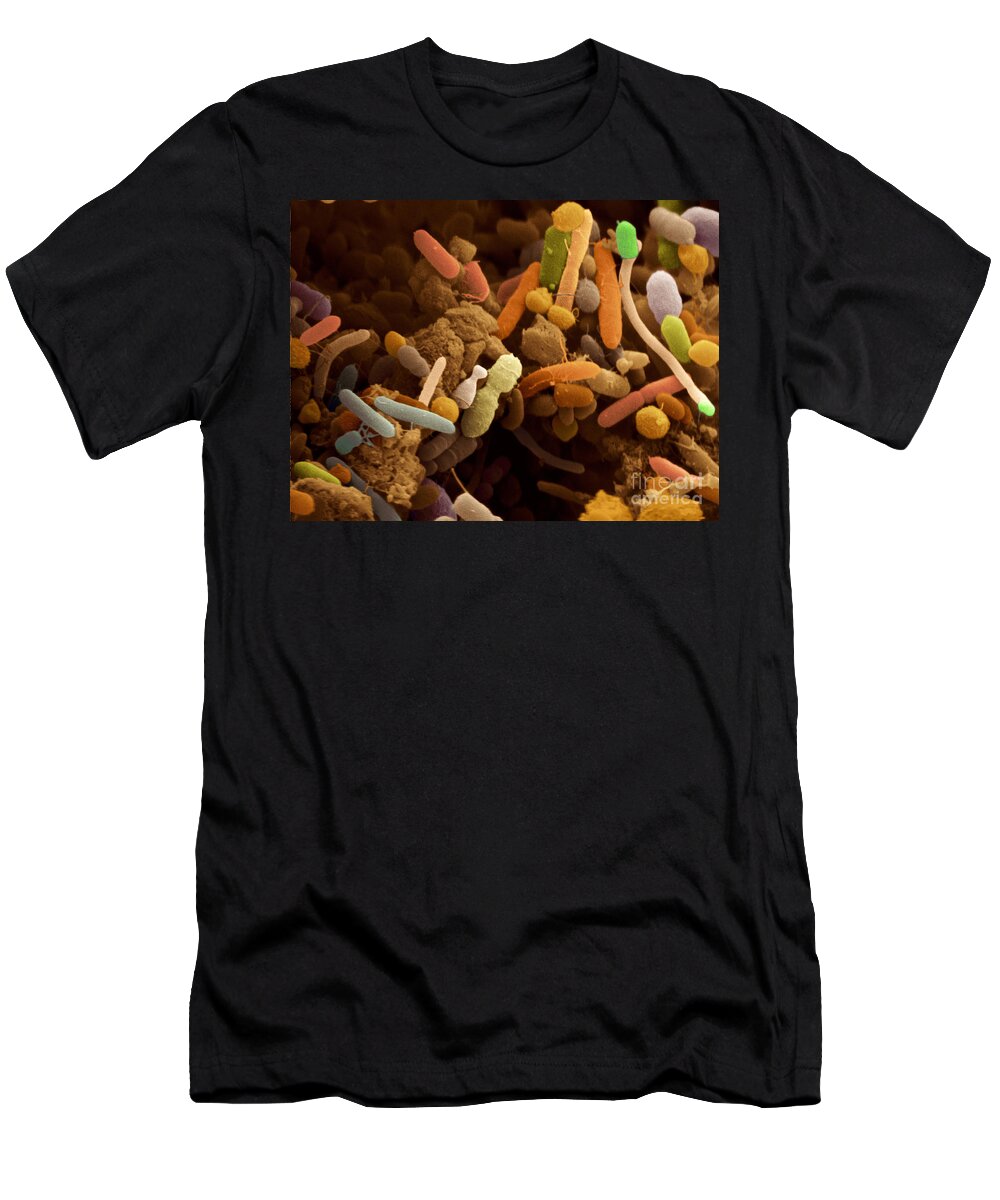 Human T-Shirt featuring the photograph Bacteria In Human Feces, Sem by Scimat