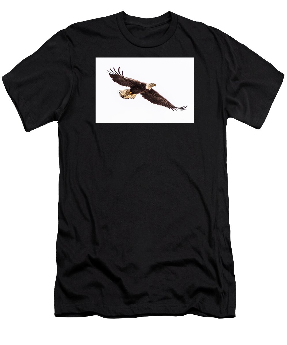 Bald Eagle T-Shirt featuring the photograph Bald Eagle 2 by Jedediah Hohf
