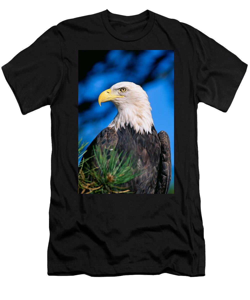 Afternoon T-Shirt featuring the photograph Bald Eagle by John Hyde - Printscapes