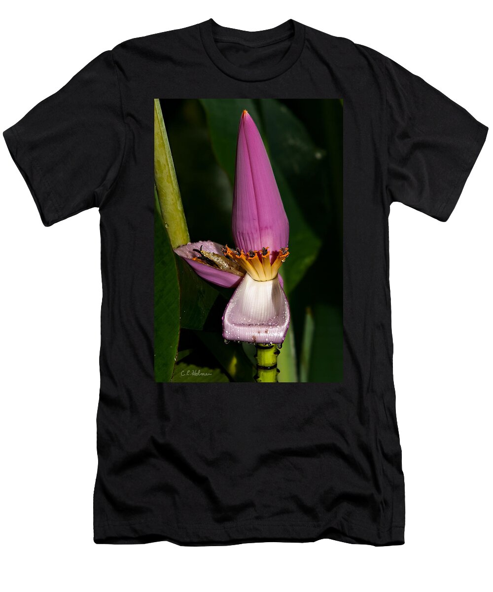 Flower T-Shirt featuring the photograph Banana Blossom by Christopher Holmes