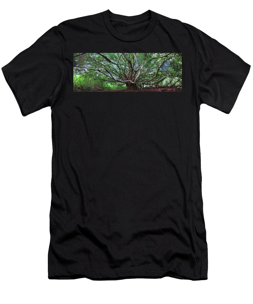 Hana Maui Hawaii Haleakala National Park Banyan Tree T-Shirt featuring the photograph Banyan Tree by James Roemmling