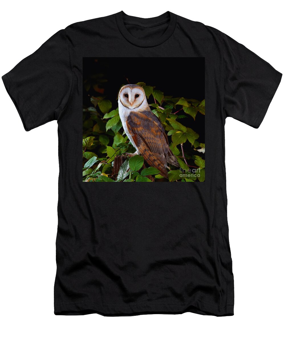 Barn Owl T-Shirt featuring the photograph Barn Owl by Manfred Danegger