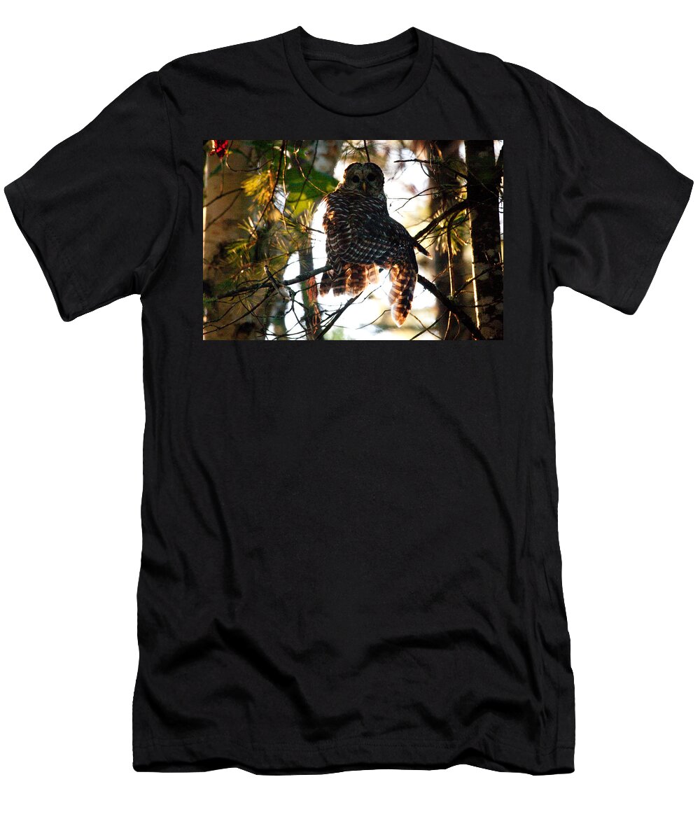 Barred Owl T-Shirt featuring the photograph Barred Owl at Sunrise by Brent L Ander