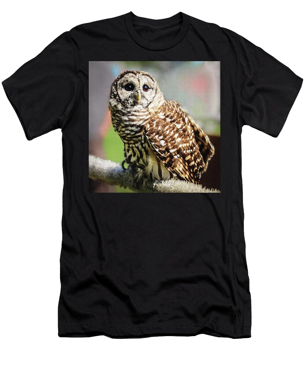 Barred Owl T-Shirt featuring the photograph Barred Owl by Robert Mitchell