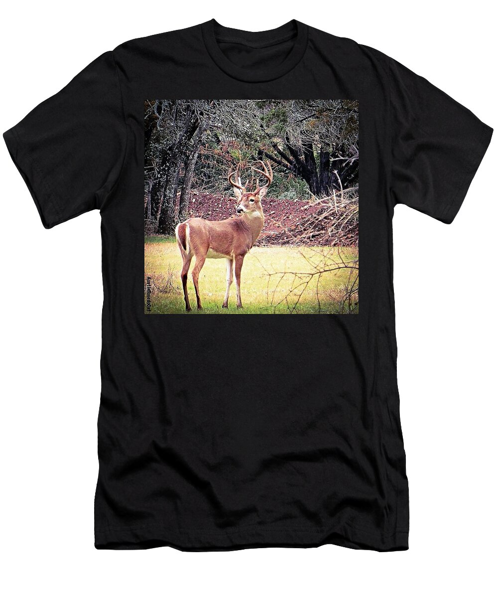 Beautiful T-Shirt featuring the photograph Be Careful Mr. #beautiful #buck. I by Austin Tuxedo Cat