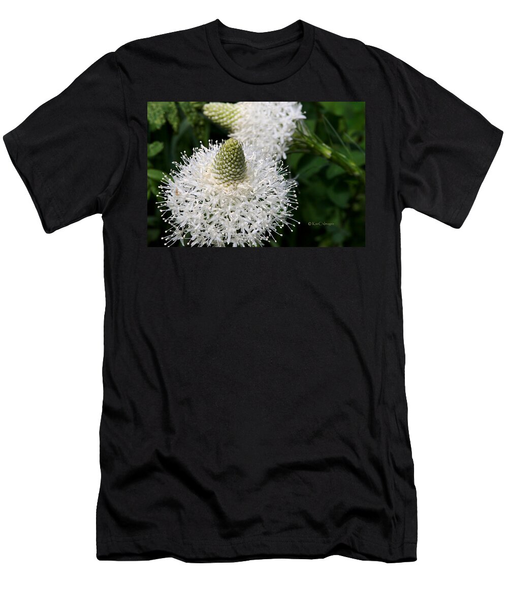 Wild Plants T-Shirt featuring the photograph Bear Grass Up Close by Kae Cheatham