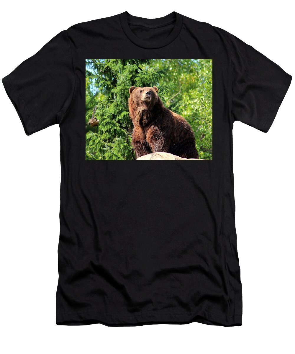Alaskan T-Shirt featuring the photograph Bear on a rock by John Olson